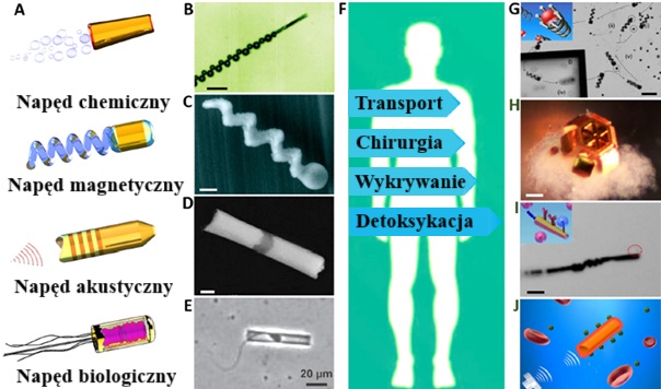 Różne typy mikrorobotów i sposoby ich napędu (chemiczny, magnetyczny, akustyczny i biologiczny) oraz przykładowe zastosowania medyczne, takie jak transport leków, chirurgia, wykrywanie i detoksykacja w organizmie człowieka.