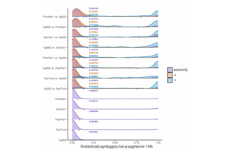 Wykres rozbieżności wynikających z luk w segmentach 1 Mb genomu dla porównań między genomem człowieka a genomami małp człekokształtnych, z rozróżnieniem autosomów oraz chromosomów X i Y.