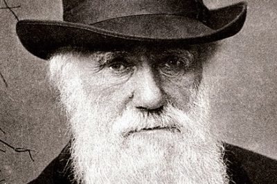 “Darwin się mylił. Teoria doboru naturalnego nie może stanowić wyjaśnienia dla makroewolucji”, Problemy Genezy 2012, t. XX, s. 56-65.