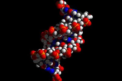 UW: nowa metoda badania ważnych biologicznie struktur DNA