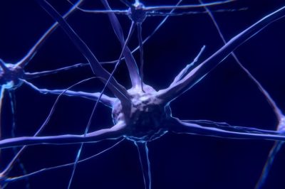 Agregacja i neurotoksyczność białka Tau w chorobie Alzheimera