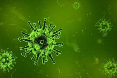 W jaki sposób wirusy przejmują kontrolę nad maszynerią molekularną komórek organizmu?