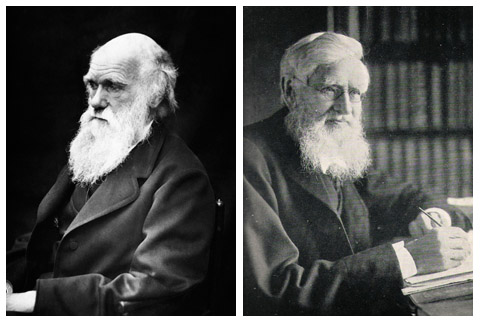 Czego możemy nauczyć się od Darwina<span class="wtr-time-wrap after-title">Czas czytania: <span class="wtr-time-number">6</span> min </span>