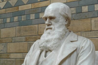 Rola teologii w książce Karola Darwina „O powstawaniu gatunków”