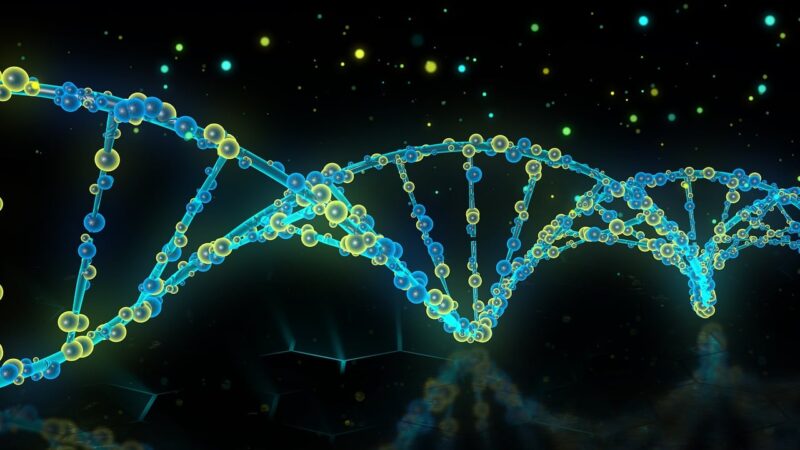 Replisom DNA – paradygmat projektu<span class="wtr-time-wrap after-title">Czas czytania: <span class="wtr-time-number">11</span> min </span>