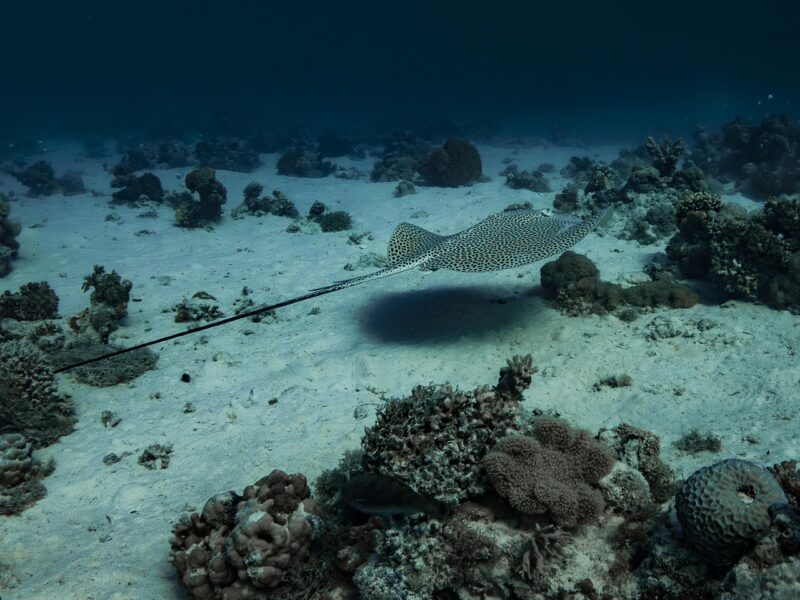 Zagadka: prebiotyczna synteza prostych monomerów organicznych<span class="wtr-time-wrap after-title">Czas czytania: <span class="wtr-time-number">6</span> min </span>