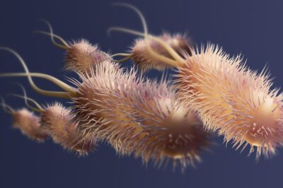 Ślady zamysłu inżynieryjnego w budowie wici bakteryjnej. Część 3