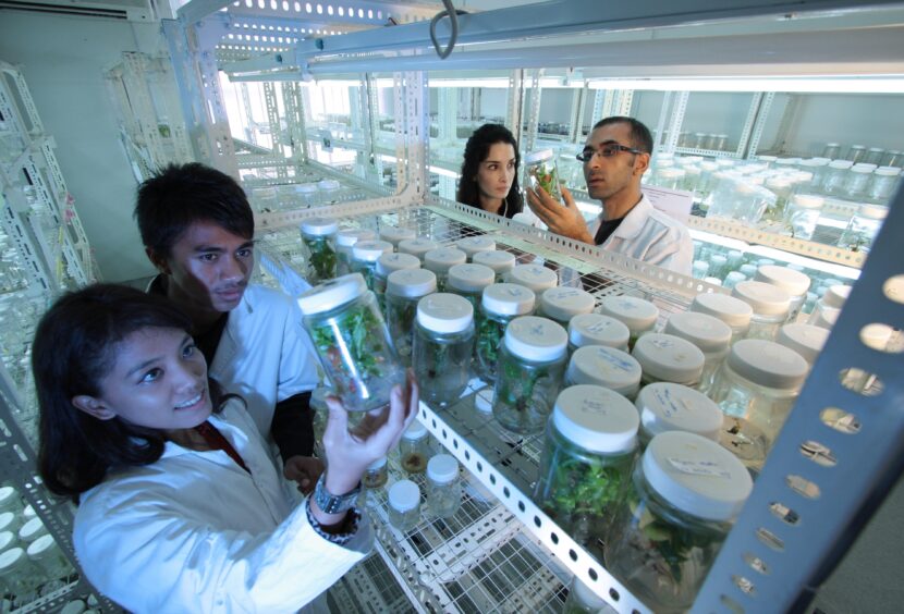 Kiedy możemy zaufać naukowcom w kwestii ewolucji?