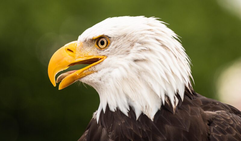 W poszukiwaniu zintegrowanej teorii życia<span class="wtr-time-wrap after-title">Czas czytania: <span class="wtr-time-number">10</span> min </span>