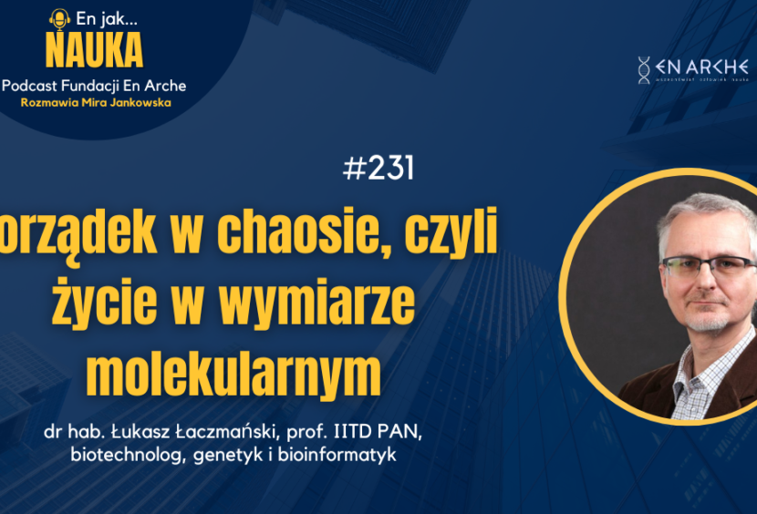 Porządek w chaosie, czyli życie w wymiarze molekularnym
