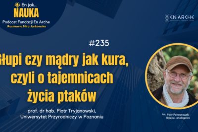 Głupi czy mądry jak kura, czyli o tajemnicach życia ptaków